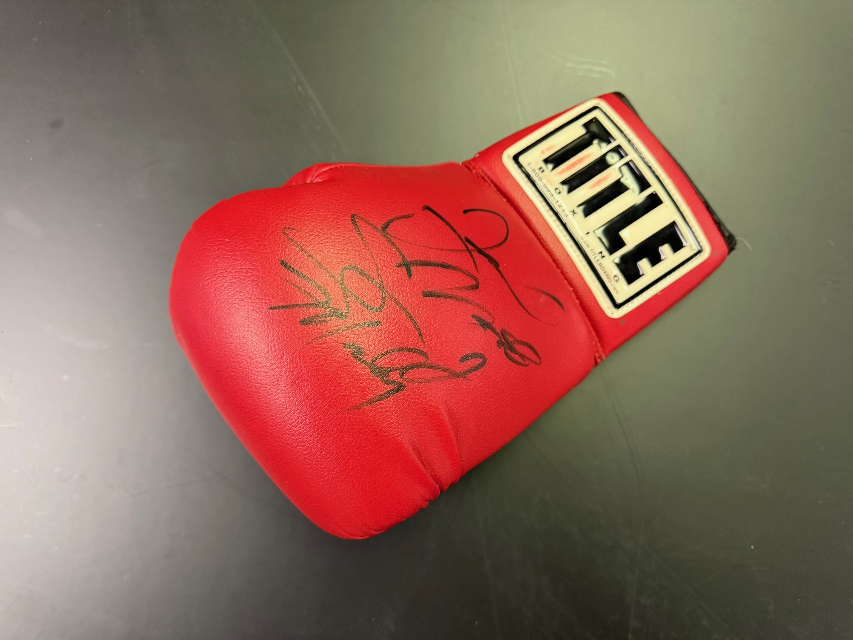 Mayweather vs Mosley